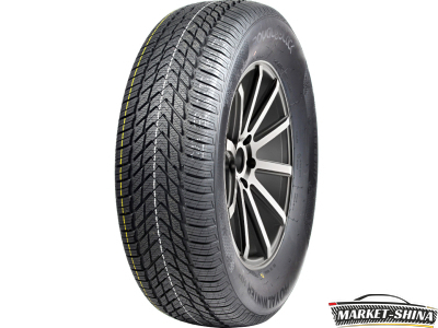 Royal Black Royal Winter HP 185/55 R15 82H