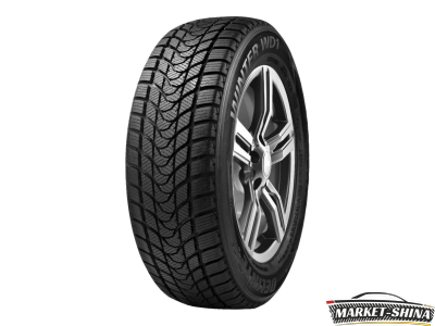 Delinte Winter WD1 255/40 R19 96H