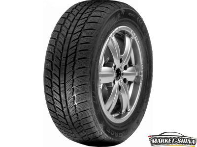 Roadx RXFROST WH01 205/65 R16 95H