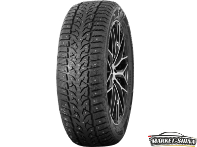 Compasal Winter Stud 205/55 R17 95T