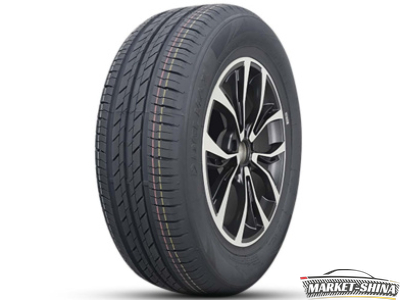 Delmax Touring S1 205/55 R16 91V