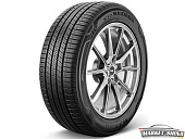 ROADIAN CTX